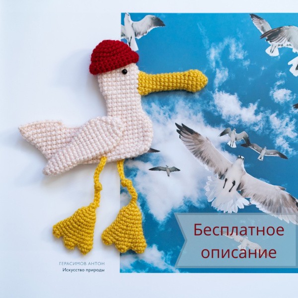 Чайки, альбатросы, пеликаны. Пеликан